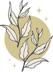 Hand drawn vector of mystic branches. Herbs silhouettes isolated on white background