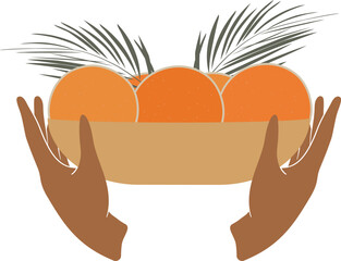 Juicy oranges bowl illustration. Woman hands and fruits. Aesthetic rape tangerine fruit design