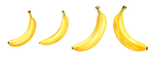 Four ripe bananas arranged in a row, showcasing bright yellow colors and healthy appeal.