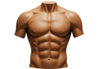 Isolated Muscular Male Torso with Well-Defined Abs