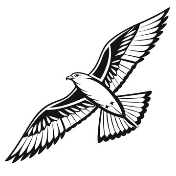 Majestic hawk soaring in flight black and white