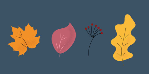 Autumn leaves set. Collection for web design, print. Vector illustration