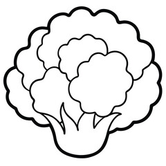silhouette cauliflower on white background