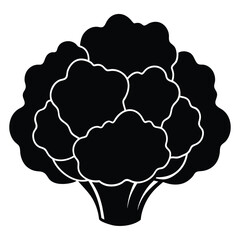 silhouette cauliflower on white background