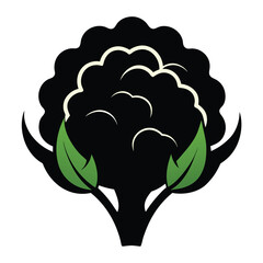 silhouette cauliflower on white background