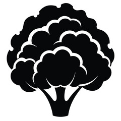 silhouette cauliflower on white background