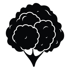 silhouette cauliflower on white background