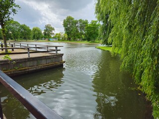 Naklejka premium Lake in which fish swim. Nature, sea, sunset, summer. bridge. A beautiful scenic view of a lake and landscape. 