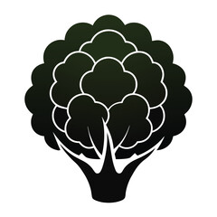 silhouette cauliflower on white background