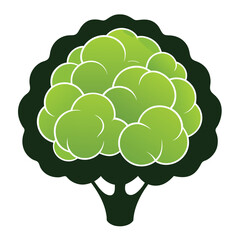 silhouette cauliflower on white background