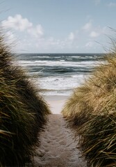 A pathway to the beach is captured in a vertical shot at the ocean's edge