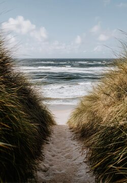 Fototapeta A pathway to the beach is captured in a vertical shot at the ocean's edge