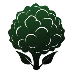 silhouette cauliflower on white background