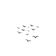 flock of birds.ink grunge flock of birds isolated on white background afar brush,hand drawn.