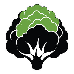 silhouette cauliflower on white background