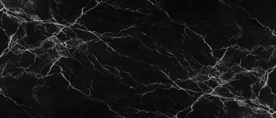 Black marble texture with white veining