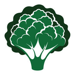 silhouette cauliflower on white background