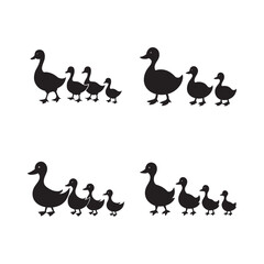 Mother Duck Leading Baby Ducklings