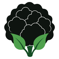 silhouette cauliflower on white background