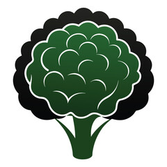 silhouette cauliflower on white background