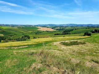 Rural landscape at summertime in Tuscany, Italy.