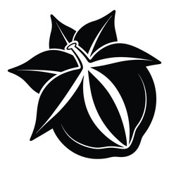  silhouette carambola on white background