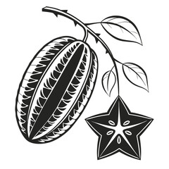  silhouette carambola on white background