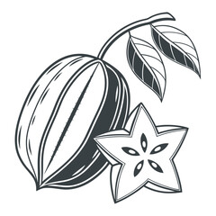  silhouette carambola on white background