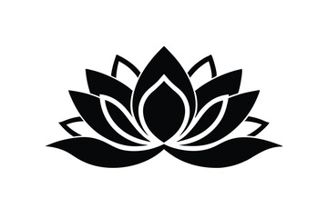 lotus flower vector illustration