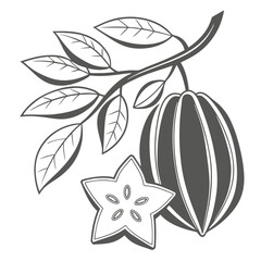  silhouette carambola on white background