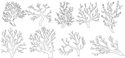 tree branches without leaves on a white background, cad line tree branch silhouettes set isolated on white, bare branches vector