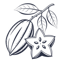  silhouette carambola on white background