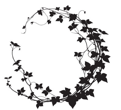 Jungle liana vine silhouette. branches and circle frame isolated white background vector