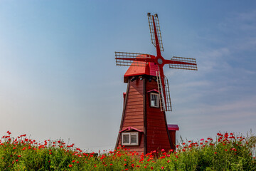 A riverfront view on a spring day full of red poppies, cornflower, babys breath and spring flowers. A view of the Akyang banks near the Namgang River in Haman-gun, Gyeongsangnam-do, Korea.
