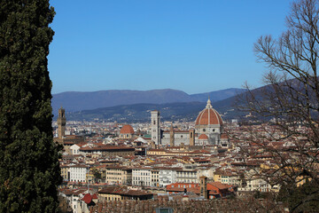 View of Florence City in Central Italy between two Trees