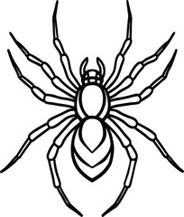 Obraz premium Vector Spider Icons – Thin Line Style for Halloween and Nature