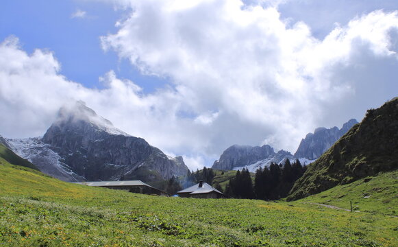 chalets d'Oche avec prairies alpestres  fleuries au printemps, situ&eacute;s au pied du massif de la Dent d'Oche enneig&eacute;e, dans le Chablais, en Haute-Savoie