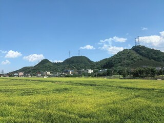 landscape with mountains