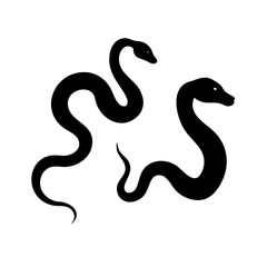 Fototapeta premium black and white snake