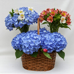 Stunning Spring Blooms: Hydrangeas & Alstroemeria in a Rustic Basket