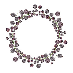 Currant gooseberry cluster bunch on stems, ripe garden berry casseille juneberry jostaberry, watercolor hand drawn. Isolated wreath frame. Home preserves, cookbook, grocery store, farmers market cards