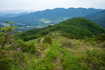 日本の岡山県と鳥取県にまたがる三平山の美しい初夏の風景