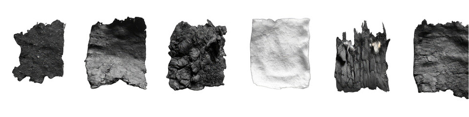Grayscale segmented images of irregular shapes