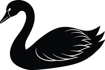 black swan vector illustration