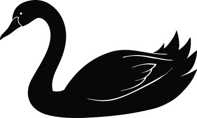 black swan vector illustration