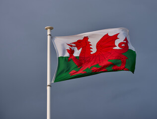 Flag of Wales in the wind Welsh Red Dragon
