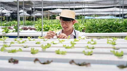 A man in a straw hat is tending to a row of plants in a greenhouse