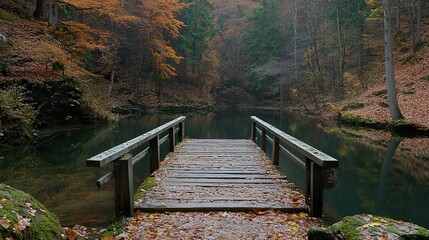 wooden bridge over the river
