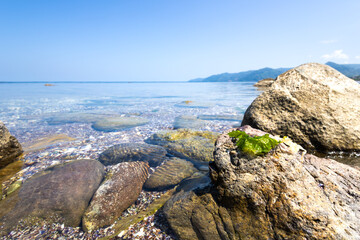 rocky coast of the sea