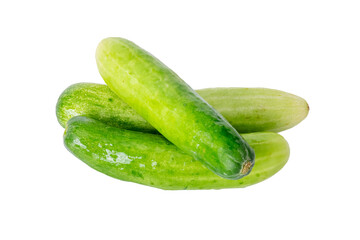 The Photo of a Thai vegetable, cucumber,, on a white background, taken with a 45Mp high resolution camera.